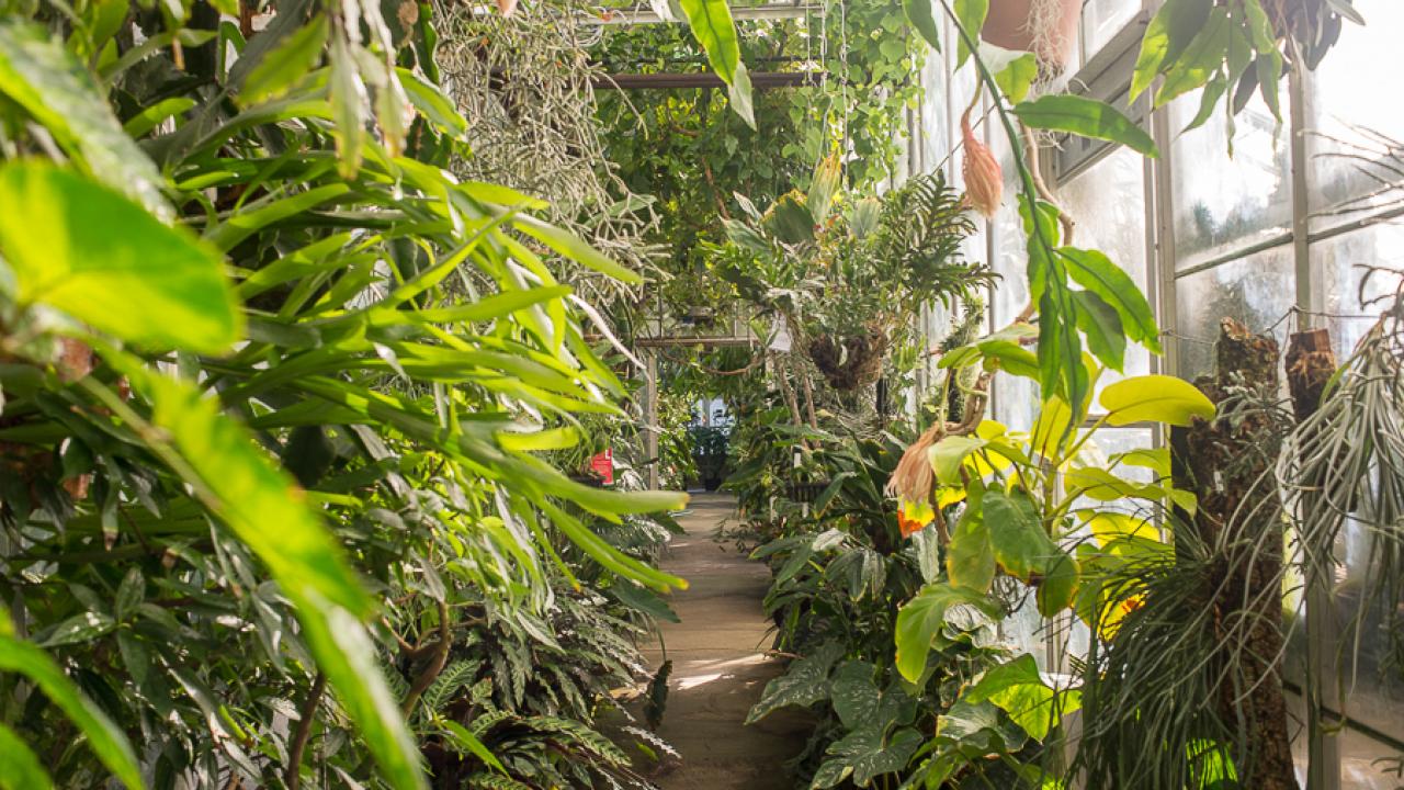 a photo of Botanical Conservatory