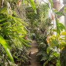 a photo of Botanical Conservatory