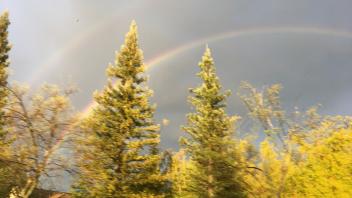 Double Rainbow Roseville